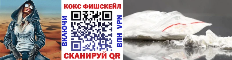 COCAIN Fish Scale  Купить закладки  Зеленогорск 