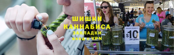 Альфа ПВП Каменка