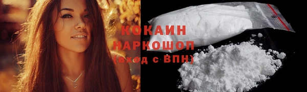 Альфа ПВП Каменка