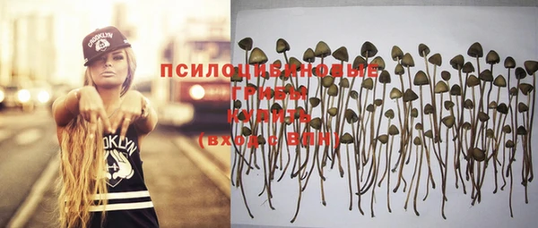 Альфа ПВП Каменка