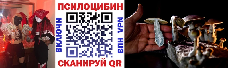 Галлюциногенные грибы MAGIC MUSHROOMS  Купить закладки  Зеленогорск 